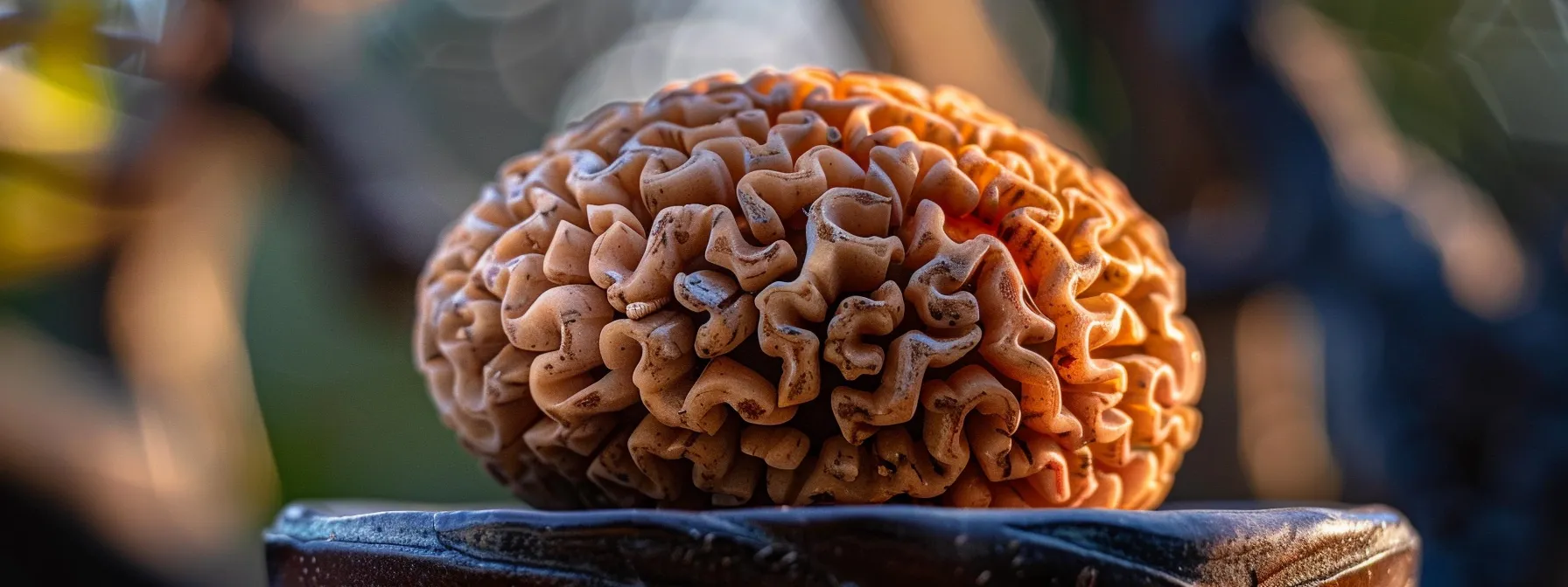 a close-up shot of a suspiciously light and shiny sixteen mukhi rudraksha with visible glue marks, highlighting the telltale signs of a fake.