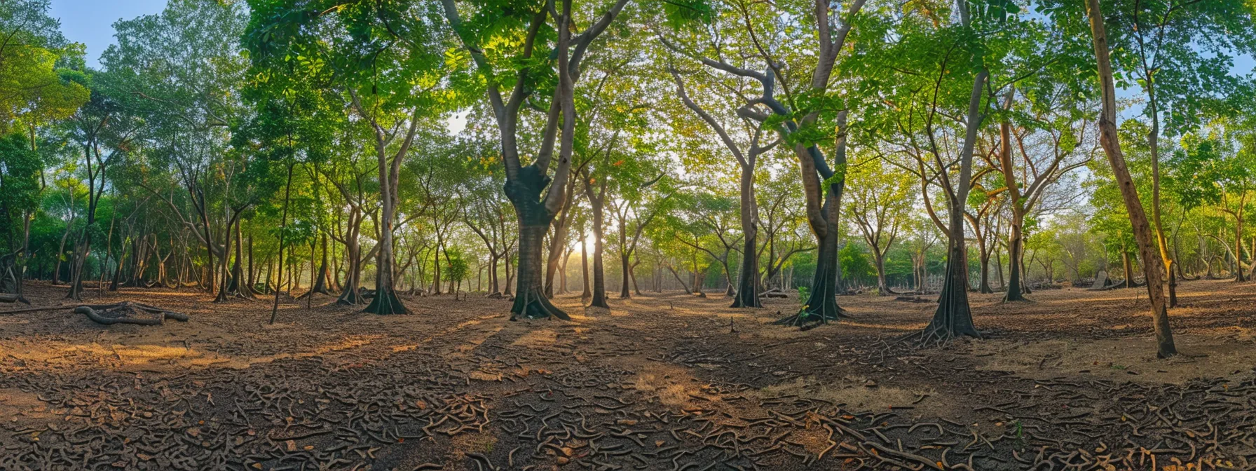 a lush and diverse forest ecosystem with vibrant rudraksha trees standing tall amidst changing landscapes and traditional cultural narratives.