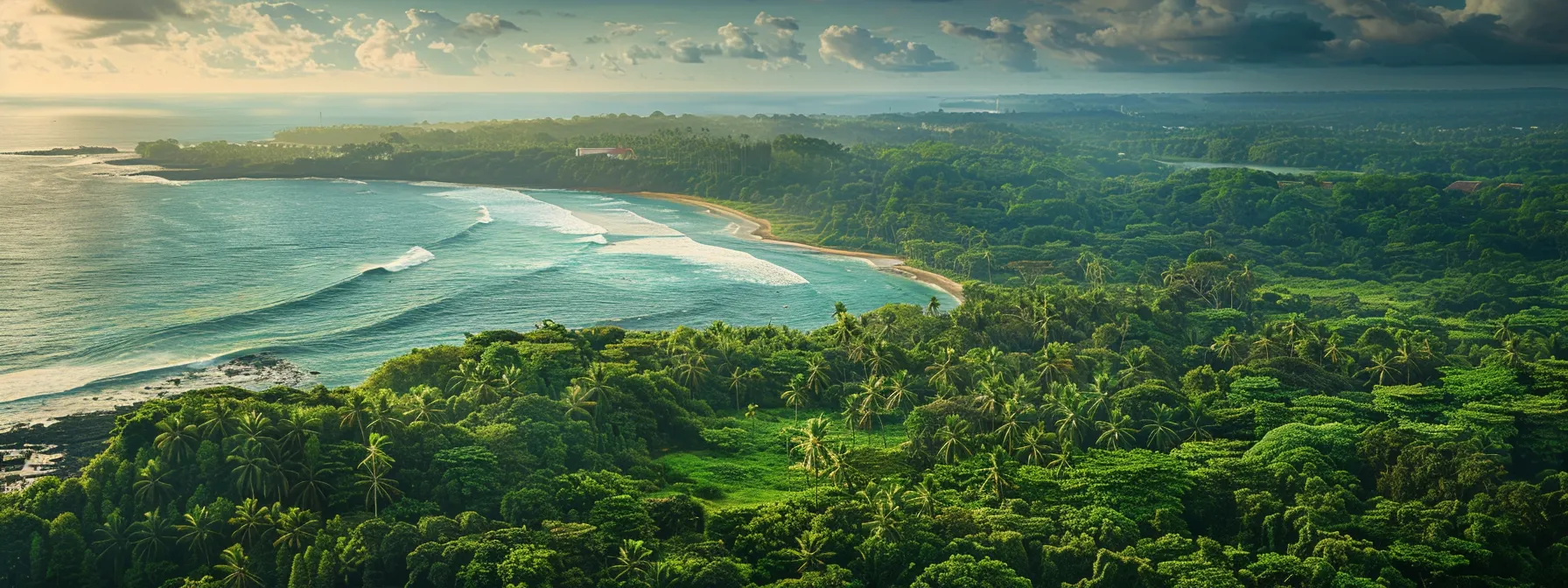 a lush, dense forest of vibrant rudraksha trees spreading across a tropical island in the indian ocean region.