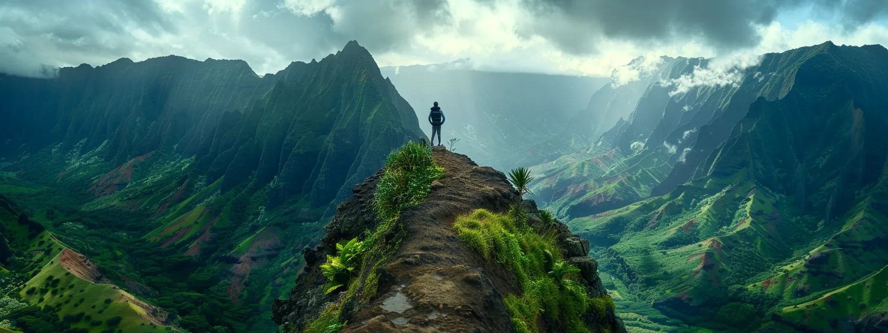 a person standing atop a mountain peak, gazing out at a lush valley below, visualizing their financial success and setting clear goals.