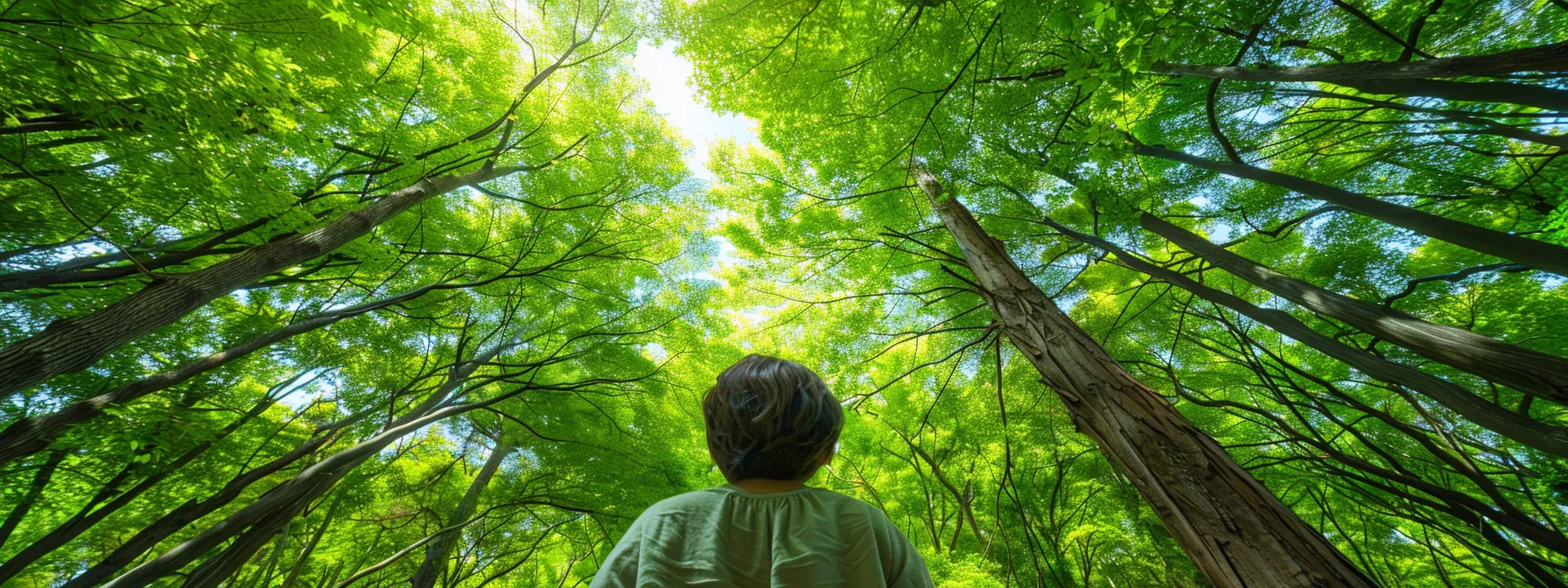 a person standing in a serene forest, surrounded by vibrant green trees, looking up with a sense of clarity and empowerment.