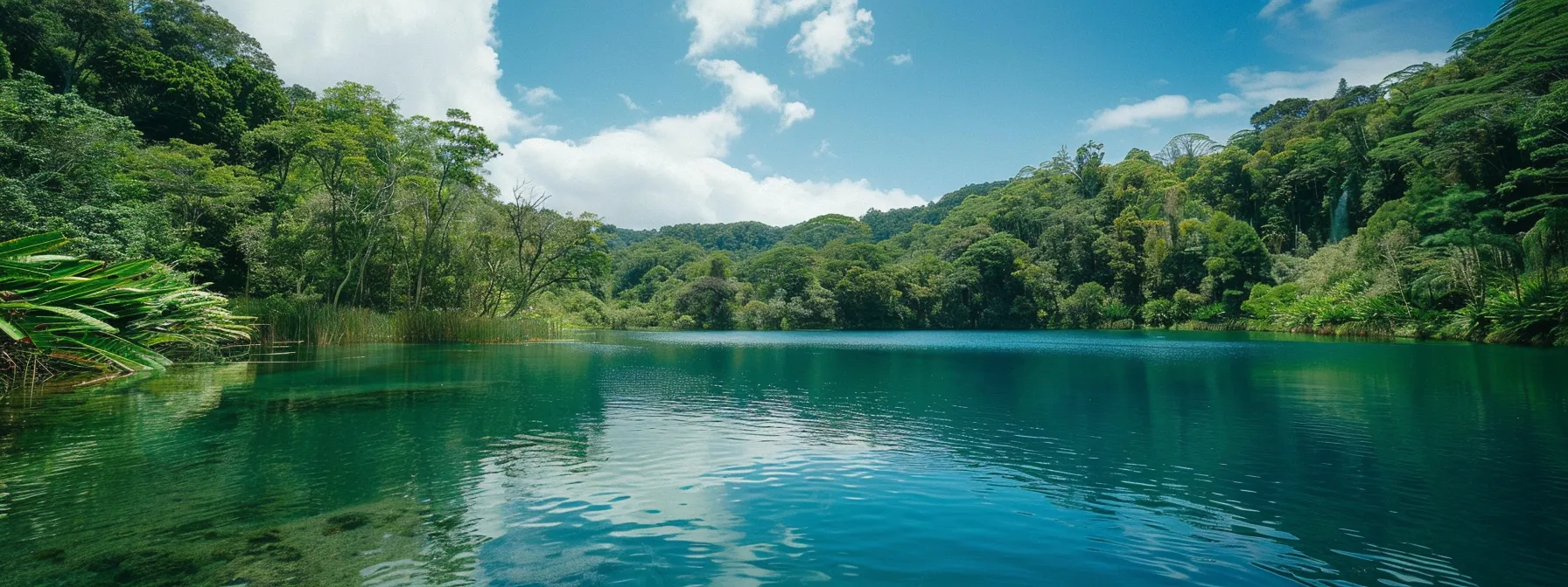 a serene lake surrounded by lush green trees, reflecting the clear blue sky, symbolizing inner peace and emotional healing through psych-k techniques.