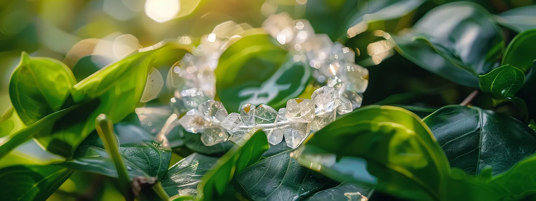 a shimmering crystal quartz bracelet resting on a bed of vibrant green leaves, radiating spiritual energy and modern elegance.