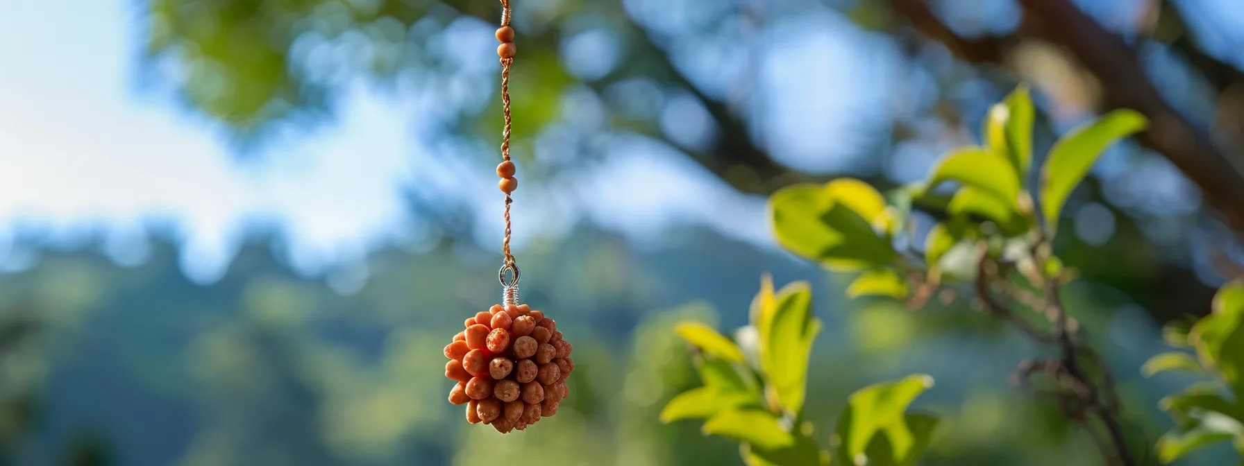 a sparkling fifteen mukhi rudraksha pendant displayed against a backdrop of serene blue skies and lush greenery.