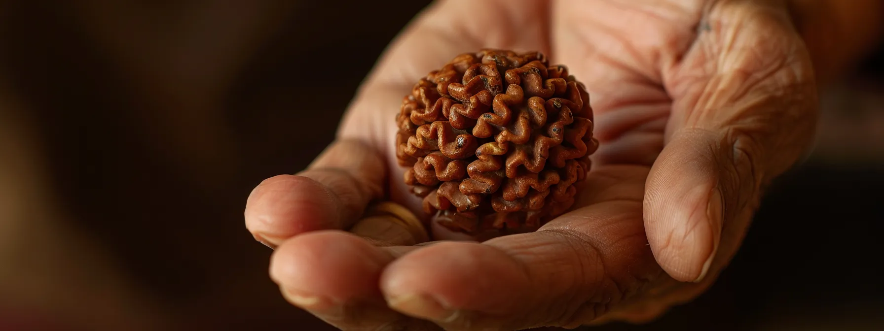 gently holding up the ten mukhi rudraksha bead, inspecting it closely for physical damage before cleaning.