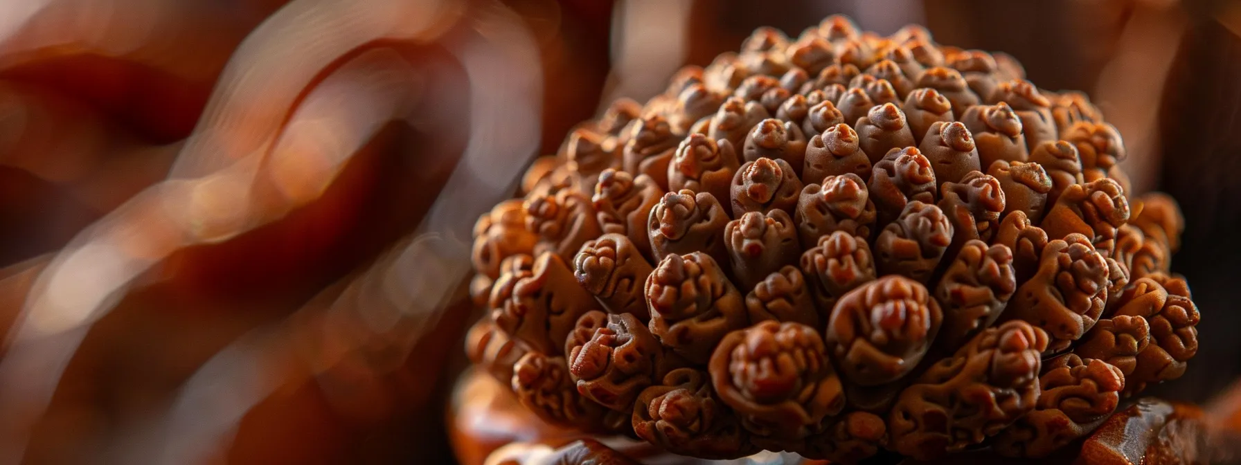 a close-up photo featuring the intricate details of a thirteen mukhi rudraksha seed, showcasing its unique texture and spiritual significance.