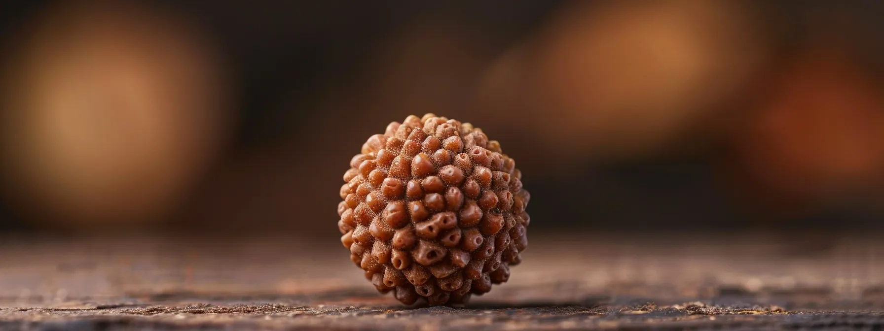 a close-up shot of a single rudraksha bead, showcasing its intricate texture and natural beauty.